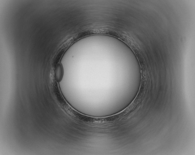 X0000113760744200909230946