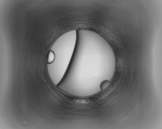 X0000113760751200909230946