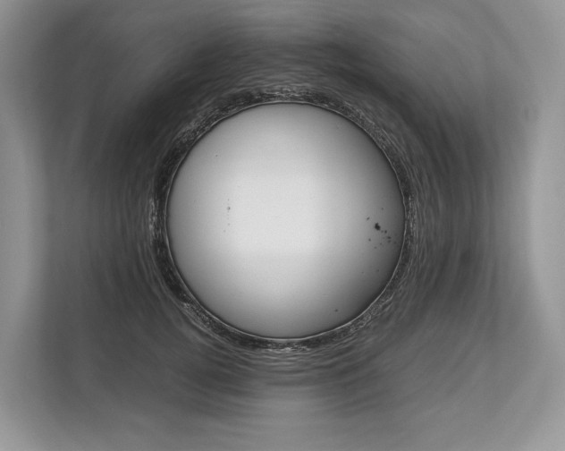 X0000113760752200909230946