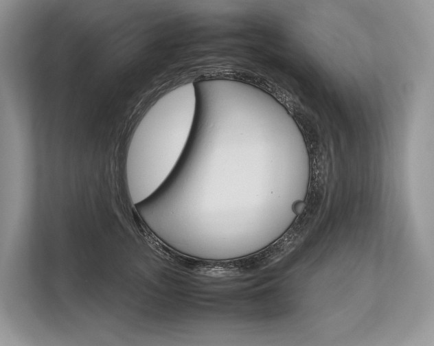 X0000113760755200909230946