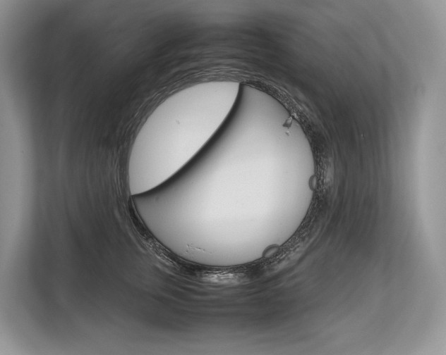 X0000113760759200909230946
