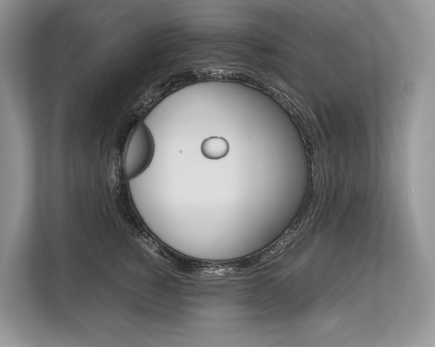 X0000113760760200909230946