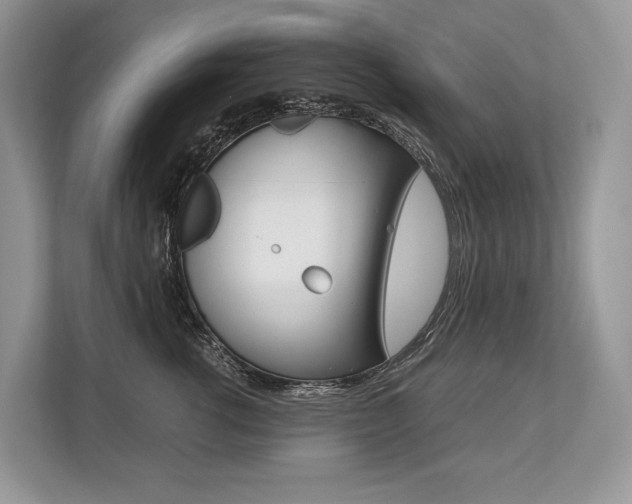 X0000113760762200909230947