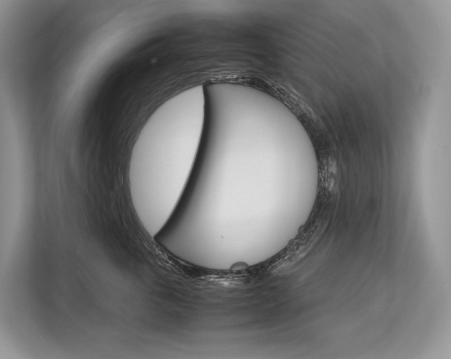 X0000113760763200909230947