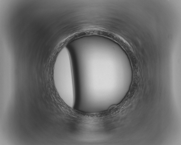 X0000113760775200909230946
