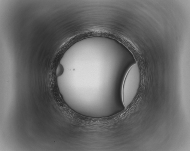 X0000113760776200909230946