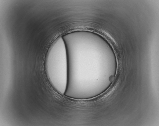 X0000113760777200909230946