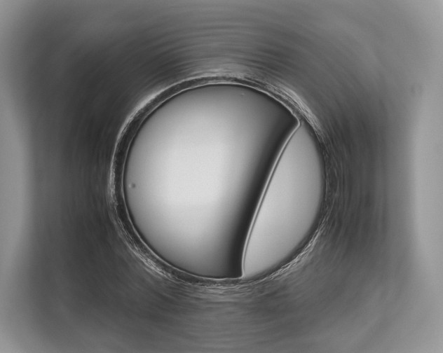 X0000113760780200909230946