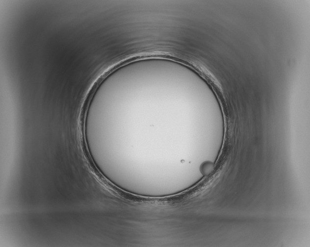 X0000113760789200909230946