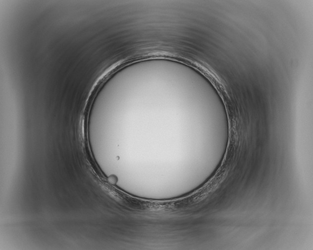 X0000113760790200909230946