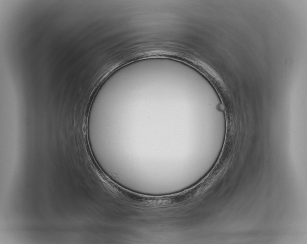 X0000113760793200909230946