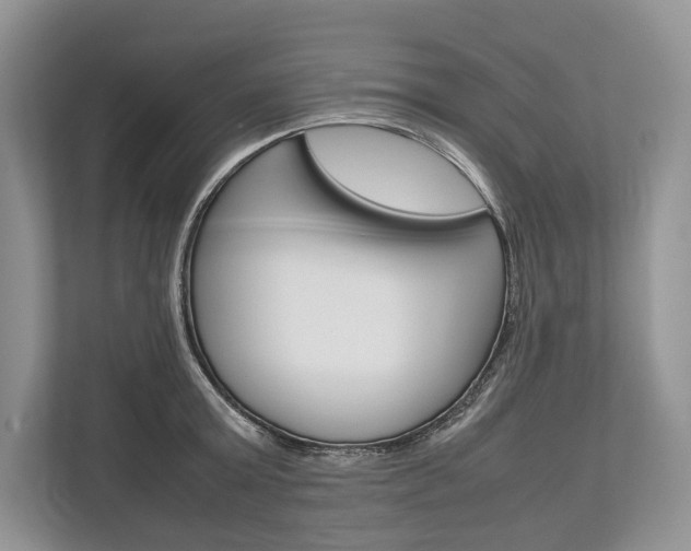 X0000113760803200909230946
