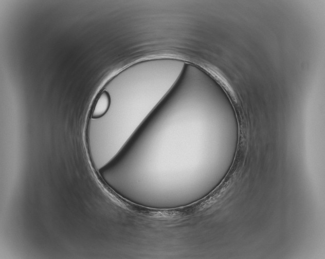 X0000113760805200909230945