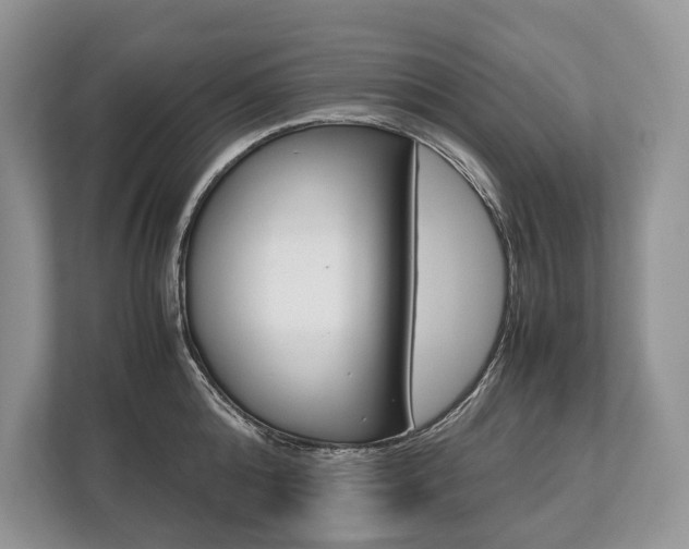 X0000113760808200909230945