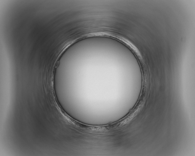 X0000113760809200909230945
