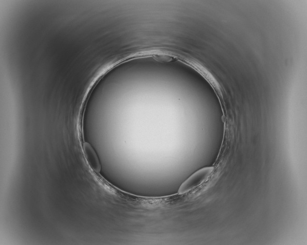 X0000113760813200909230945