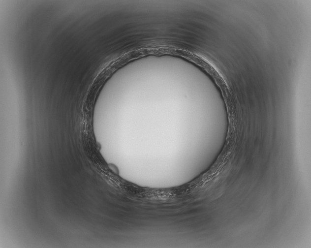 X0000113760823200909230945