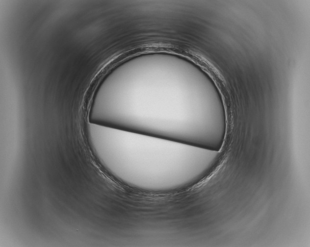 X0000113760829200909230945