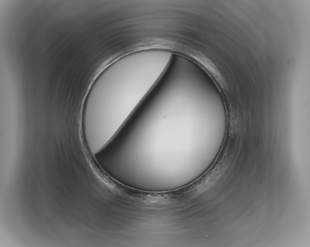 X0000113760850200909230945