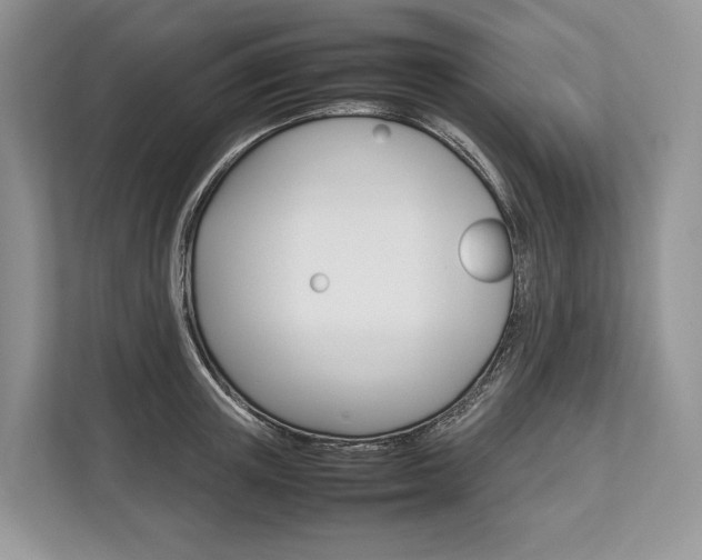 X0000113760851200909230945