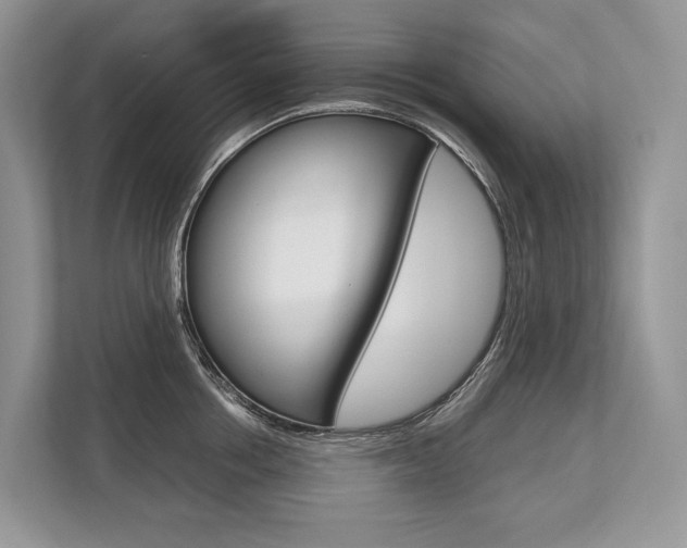 X0000113760858200909230945