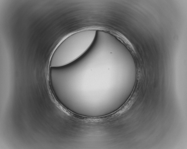 X0000113760860200909230945