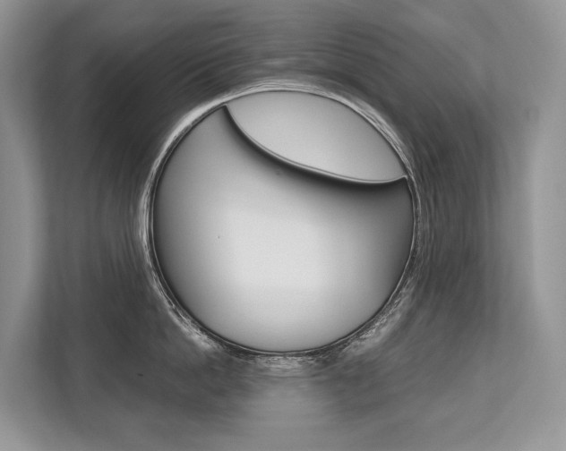 X0000113760862200909230945