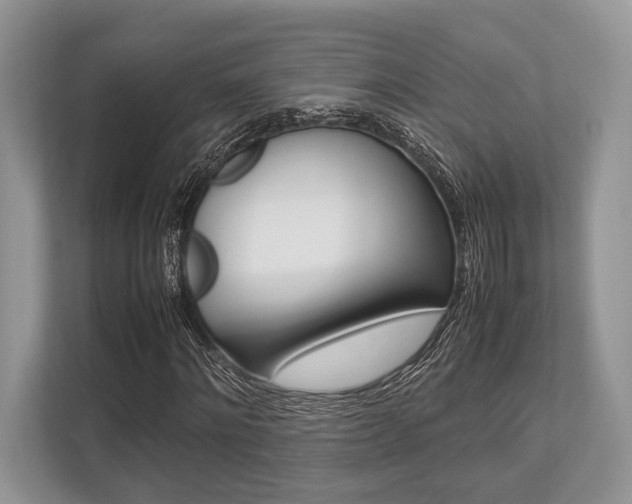 X0000113760868200909230945