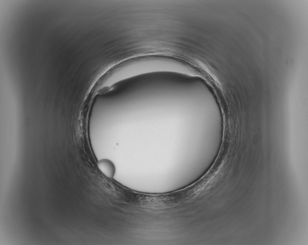 X0000113760875200909230945