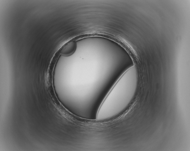 X0000113760876200909230945