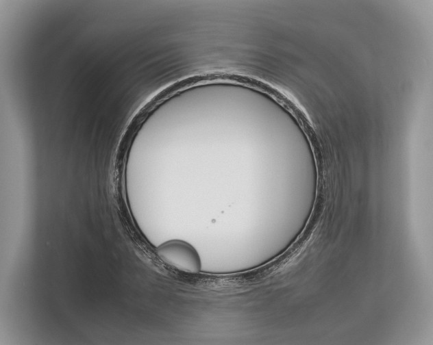 X0000113760879200909230945