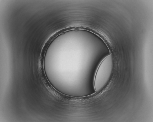 X0000113760880200909230945
