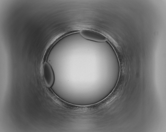 X0000113760885200909230944