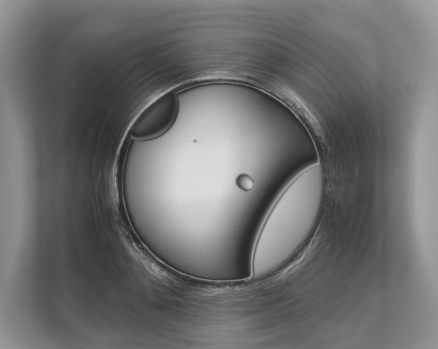 X0000113760892200909230944