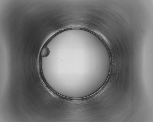 X0000113760894200909230944