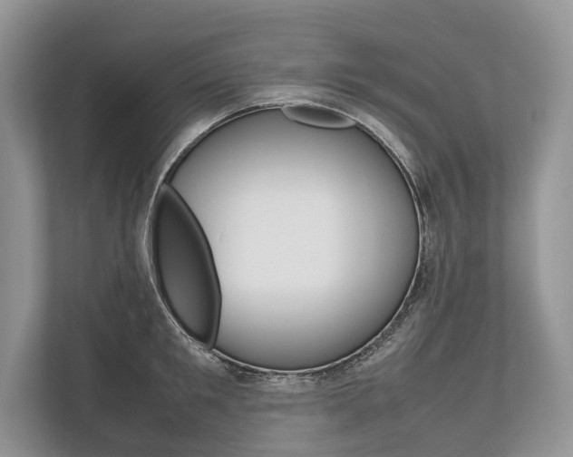 X0000113760901200909230944