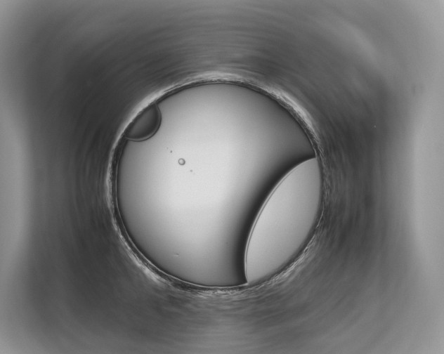 X0000113760902200909230944