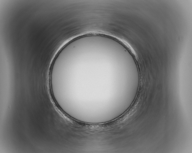 X0000113760903200909230944