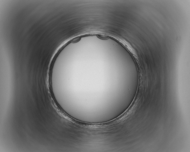 X0000113760904200909230944