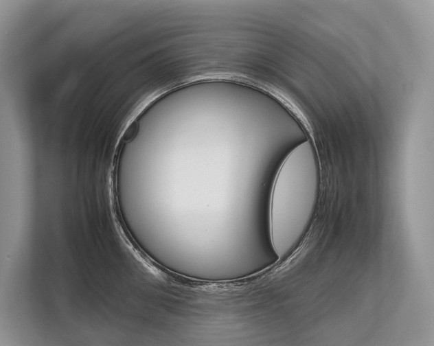 X0000113760906200909230944