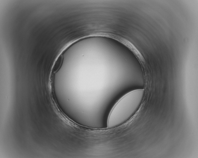 X0000113760908200909230944