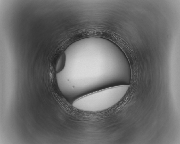 X0000113760914200909230943
