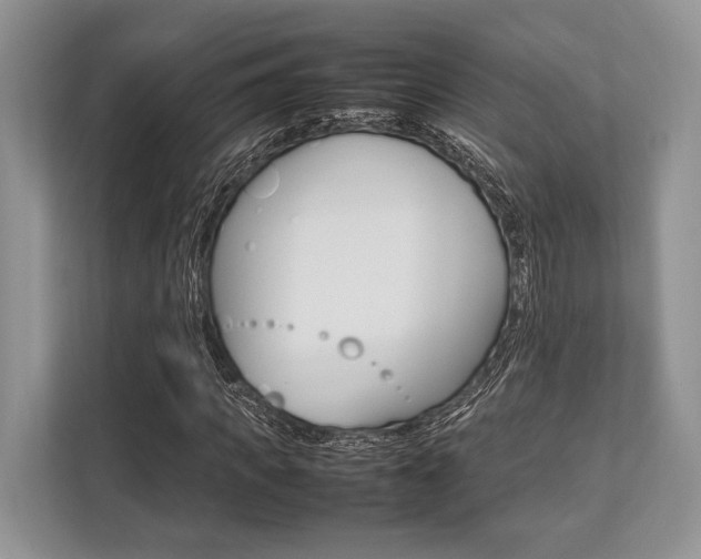 X0000113760917200909230944
