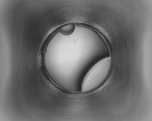X0000113760926200909230944