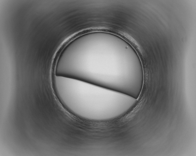 X0000113760935200909230944