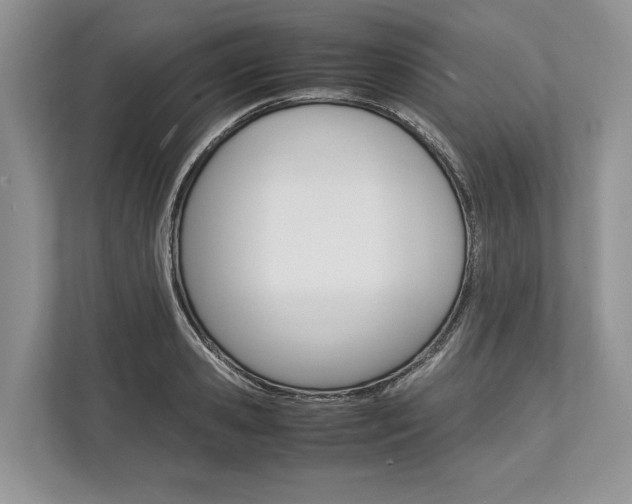 X0000113760941200909230944