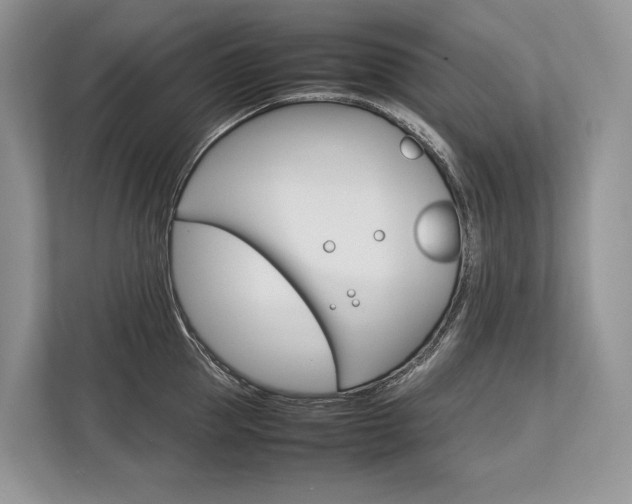 X0000113760953200909230944