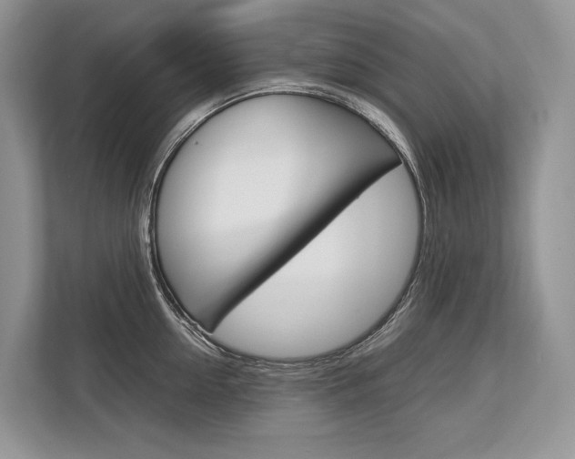 X0000113760954200909230944