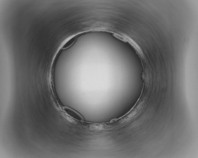 X0000113760956200909230944