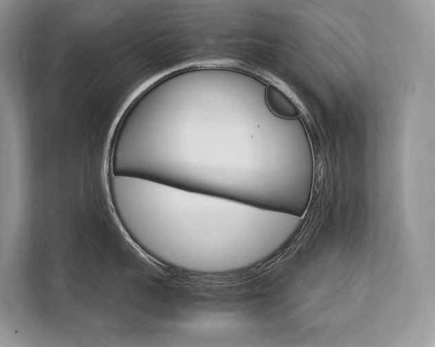 X0000113760959200909230944